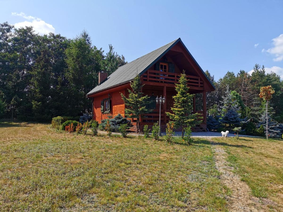 Domek Na Wsi Nad Jeziorem , Prywatny Staw Kamienczyk Dezerta Bagian luar foto