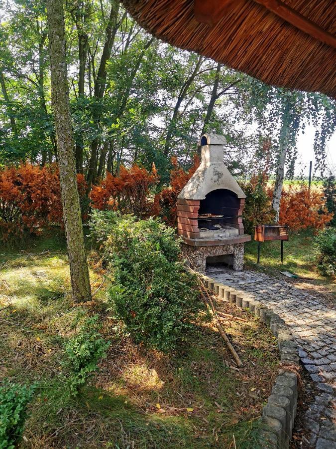 Domek Na Wsi Nad Jeziorem , Prywatny Staw Kamienczyk Dezerta Bagian luar foto